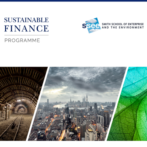 February 2017 - Stranded Assets and Thermal Coal in China: An analysis of environment-related risk exposure